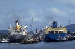 パイプハウスを活用した効率的な農業経営の秘訣！持続可能な栽培法と最新技術を徹底解説