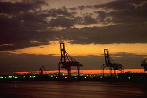 Type3の3Dプリンターソフト開発販売